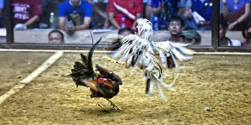 ok9 ﻿đăng nhập lô đề uy tín