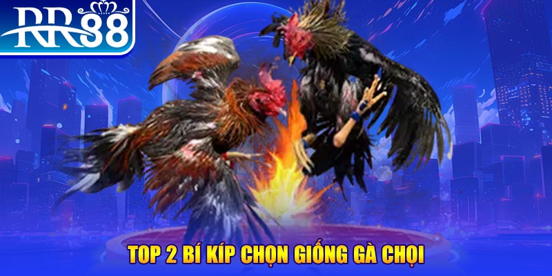 ok9 bắn cá h5
