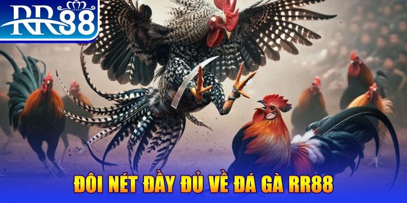 ok9 gà chọi hoà phong