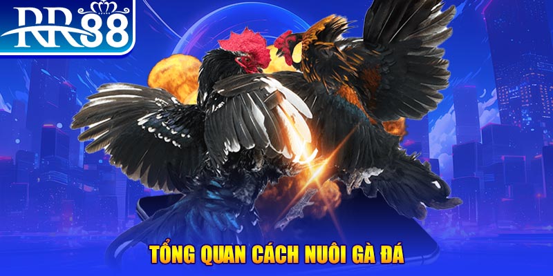 ok9 xổ số thứ ba