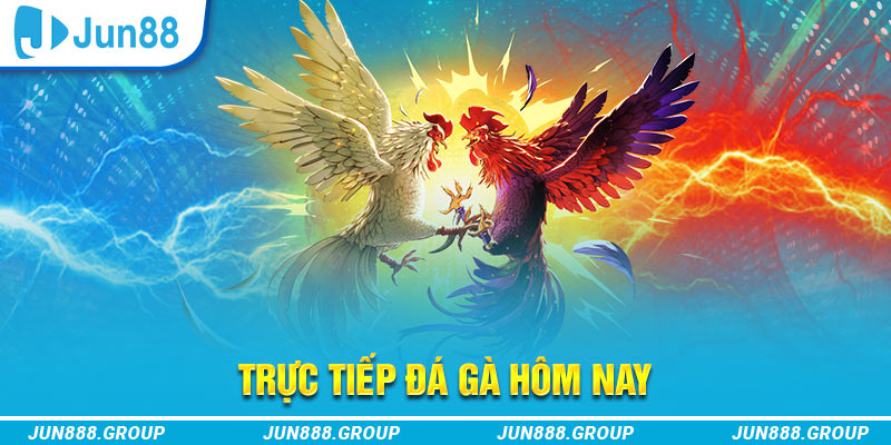 ok9 trực tiếp đá gà thomo