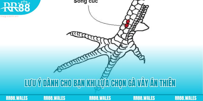 ok9 xổ số khánh hòa