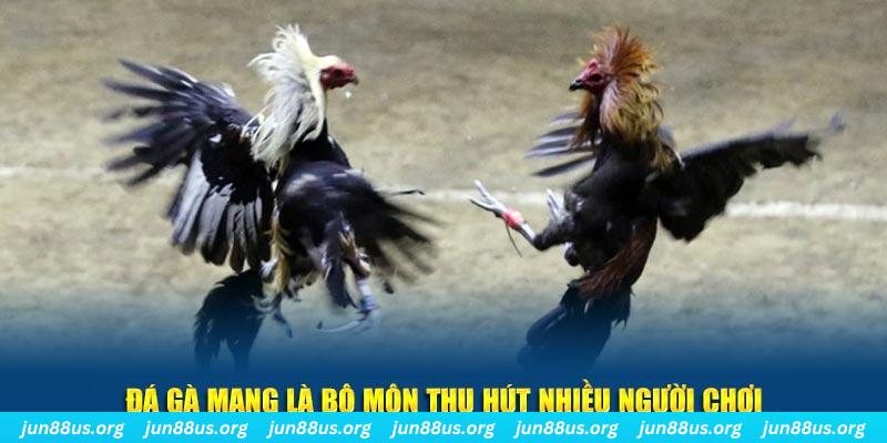 ok9 xổ số long an