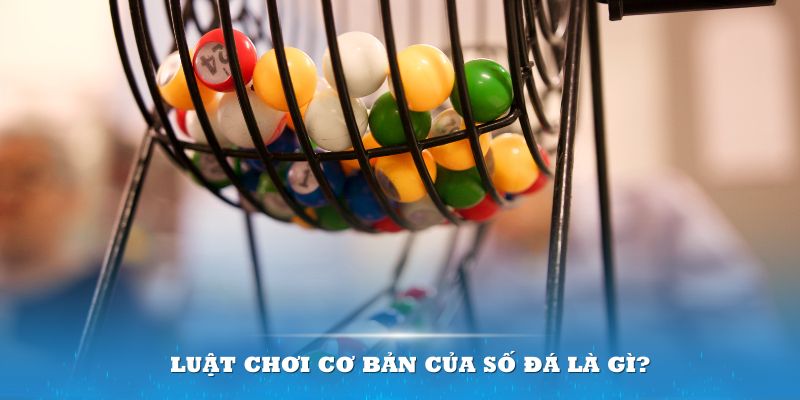 ok9 Đĩa màu ace